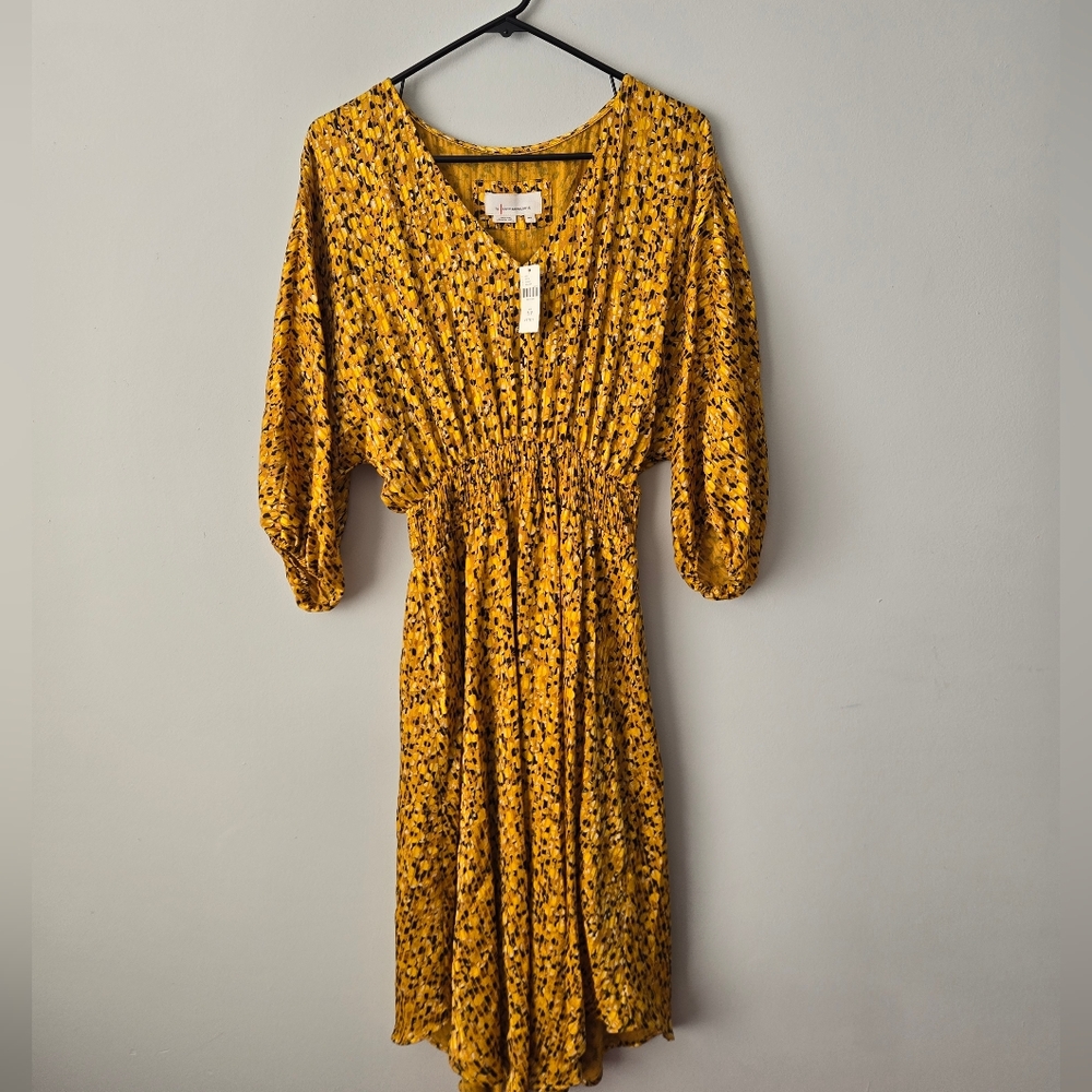 Anthropologie Dress Petite Medium NWT